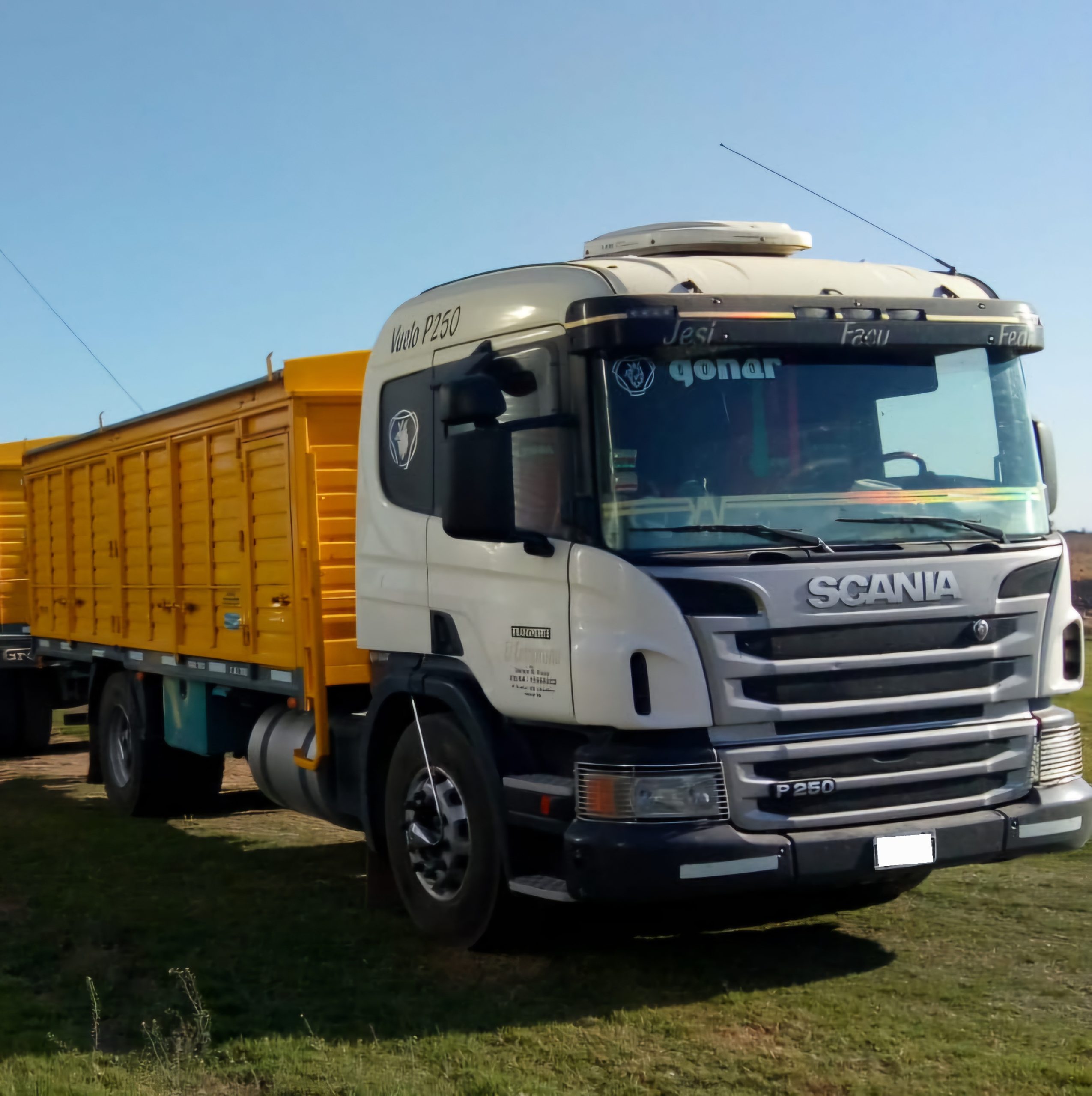 Vendo Scania P250