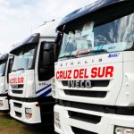 cruz-del-sur